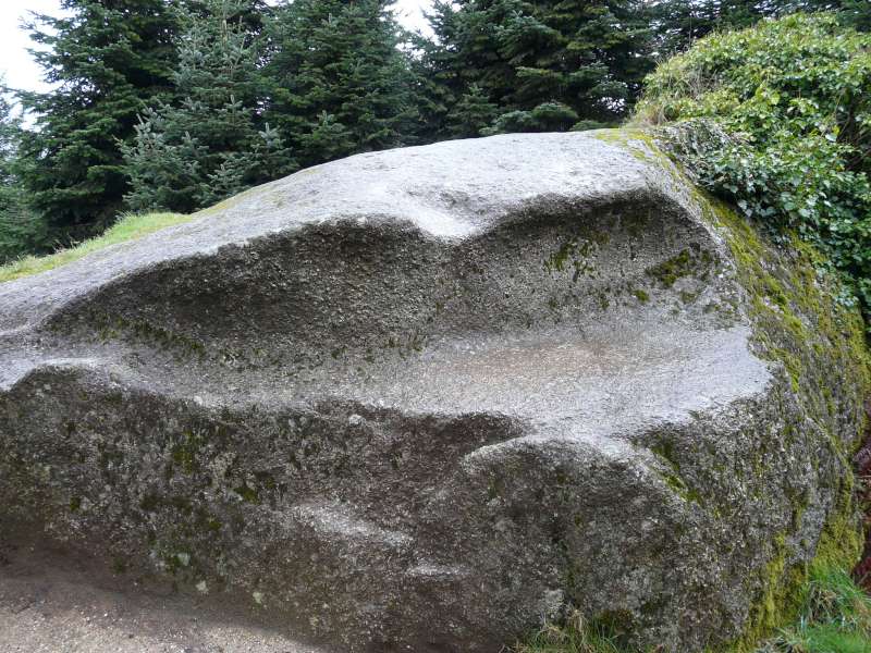 P1020452