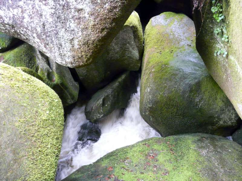 P1020505
