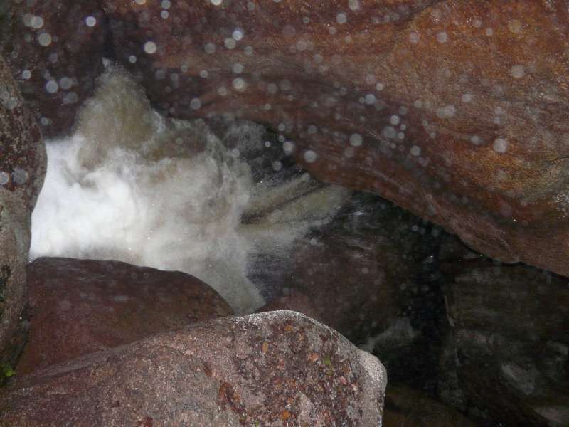 P1020526