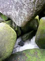 P1020506