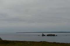 P1050935